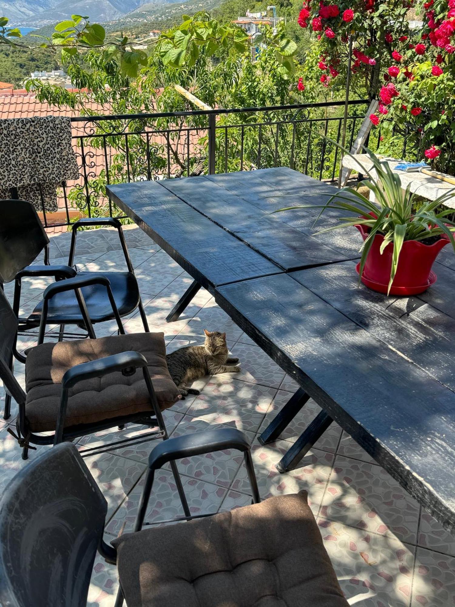 Lida'S House Ξενοδοχείο Λούκοβο Εξωτερικό φωτογραφία